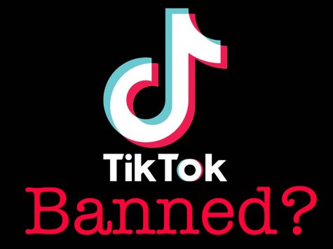 TikTok banned on State of Texas devices