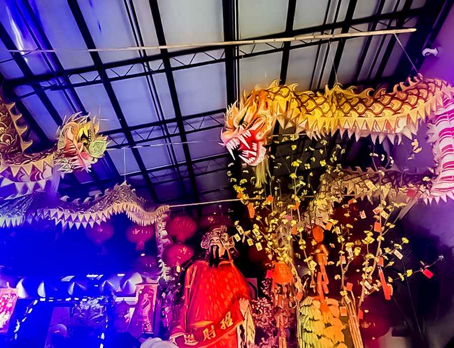 Decorations celebrate the year of the dragon at the Lunar New Year festival in Grand Prairie.