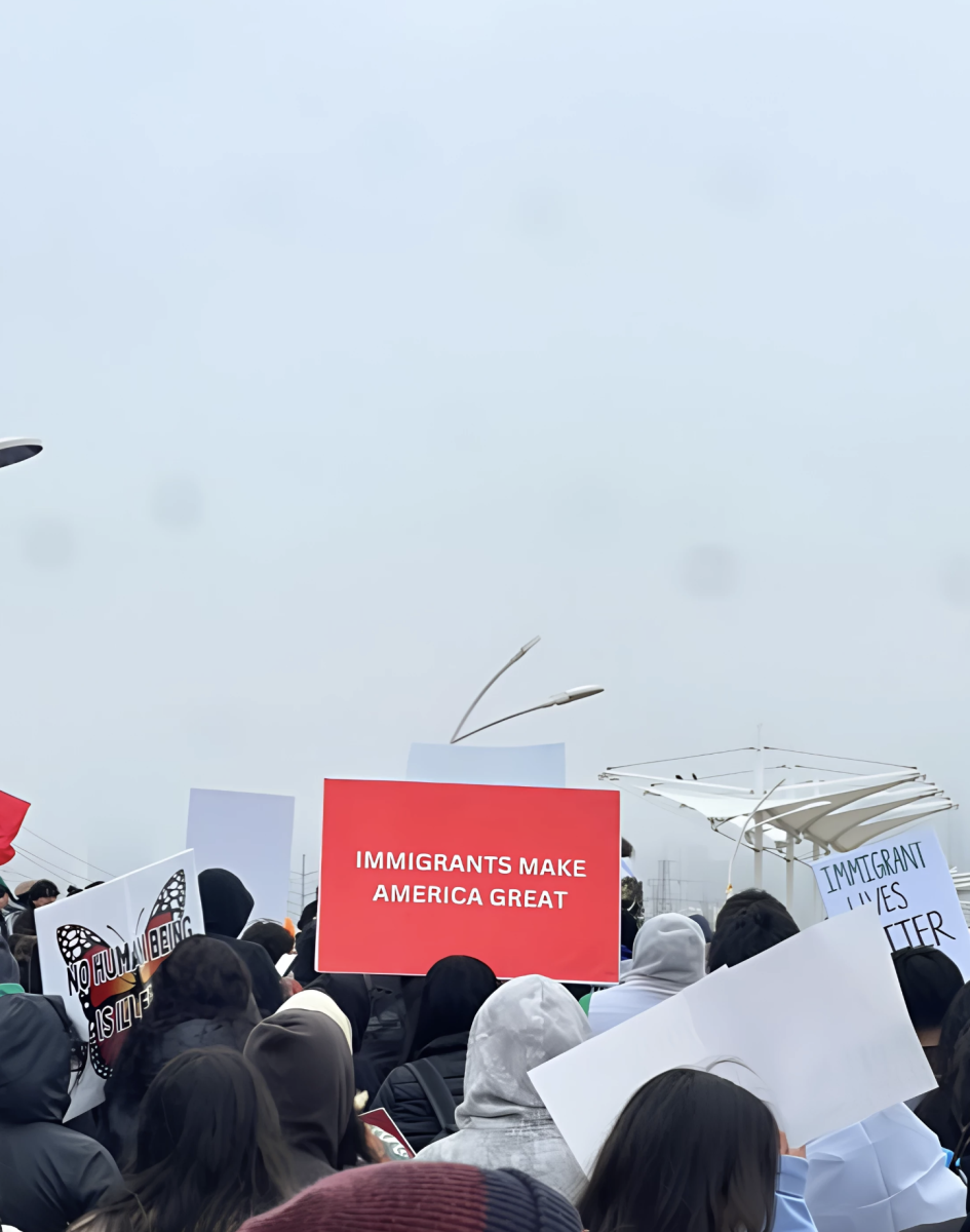 North Texans protest ICE raids on Margaret Hunt Hill Bridge in Dallas on Jan. 26.