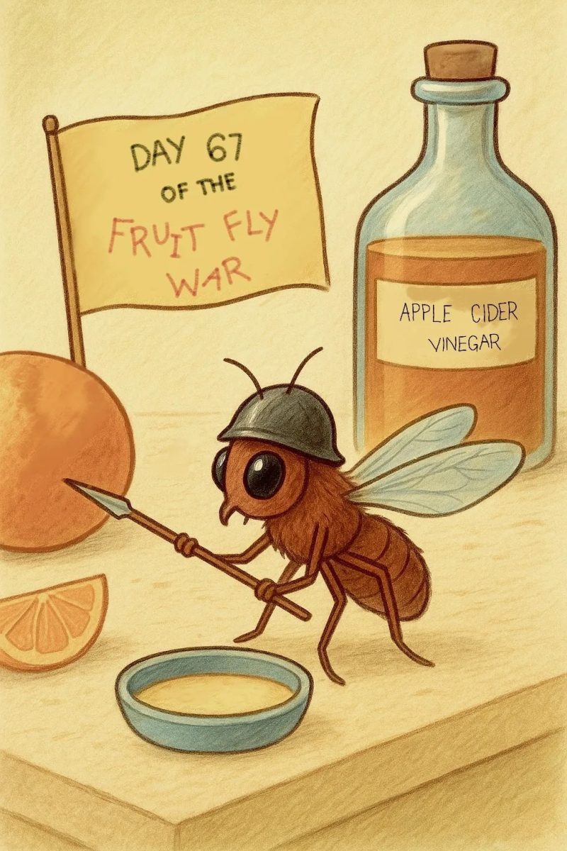 flygraphic